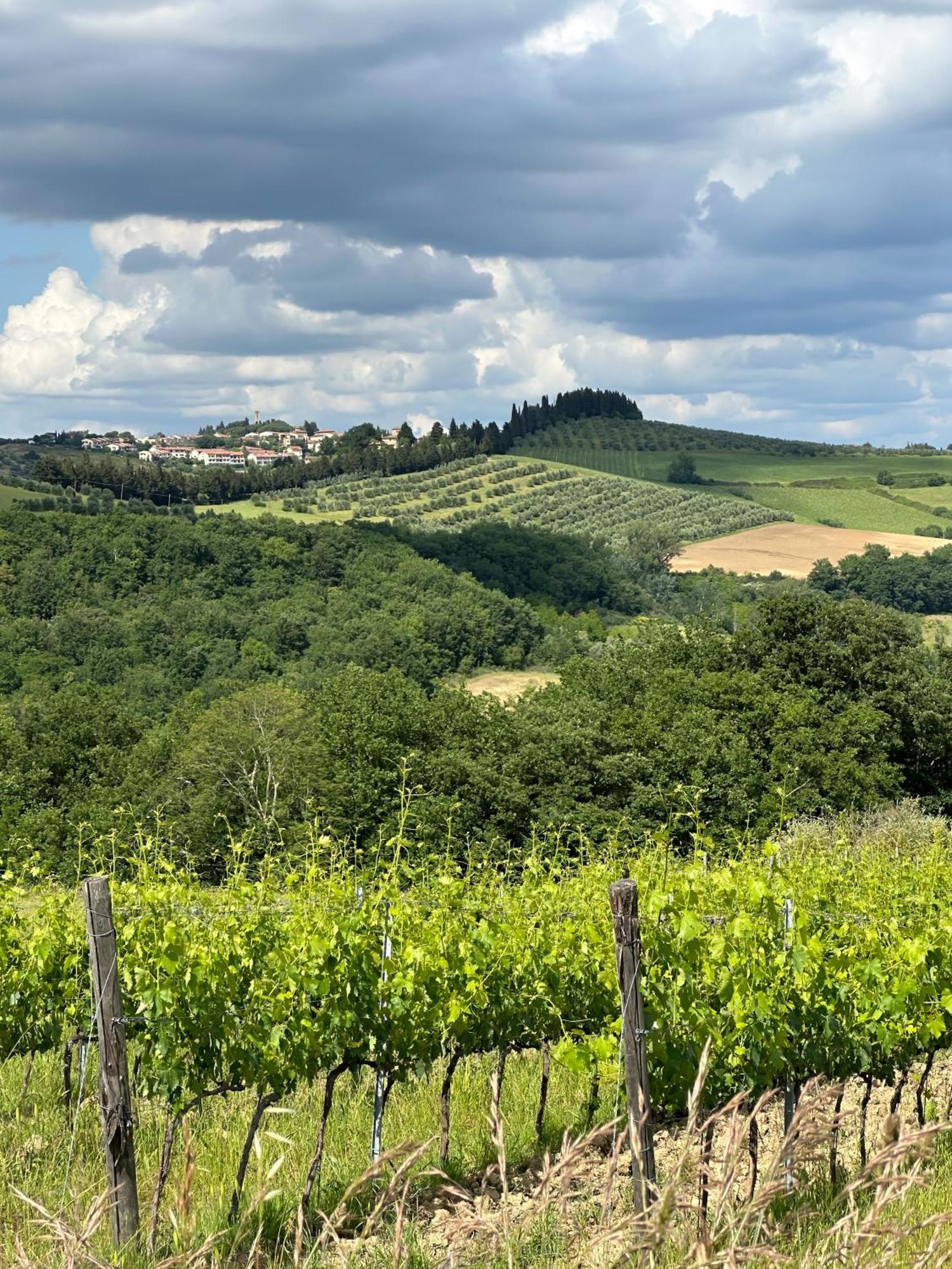 Agriturismo Fattoria Sant'Appiano Barberino di Val dʼElsa Exteriér fotografie